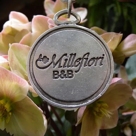 B&B Millefiori 브레시아