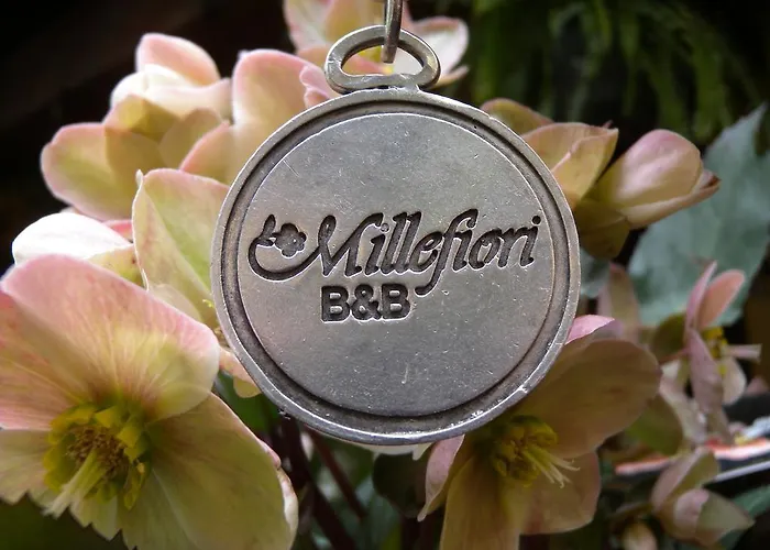 Bed & Breakfast Millefiori Brescia